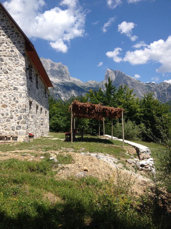 Panorama Gasthof 2*