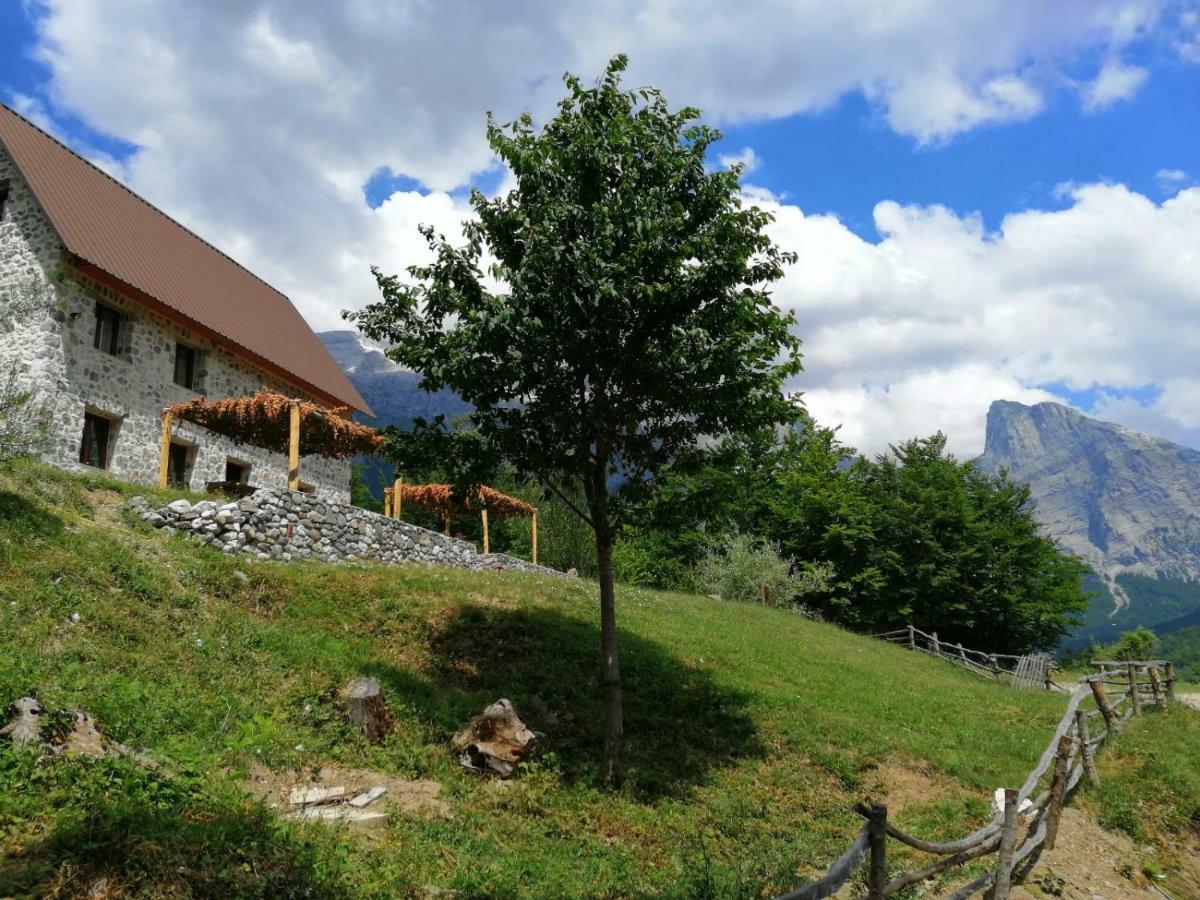 Panorama Gasthof Theth